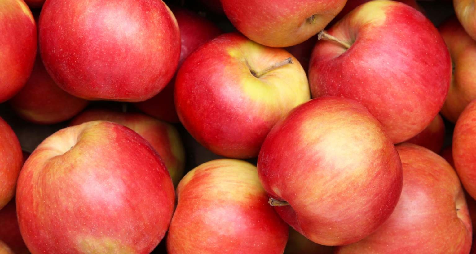 ¿Derechos sobre las manzanas? Apple busca registrar la imagen de la fruta como marca