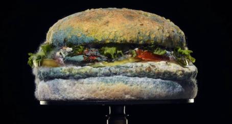 “Moldy Whopper”, de Burger King, se hace con El Sol de Platino en El Sol 2021