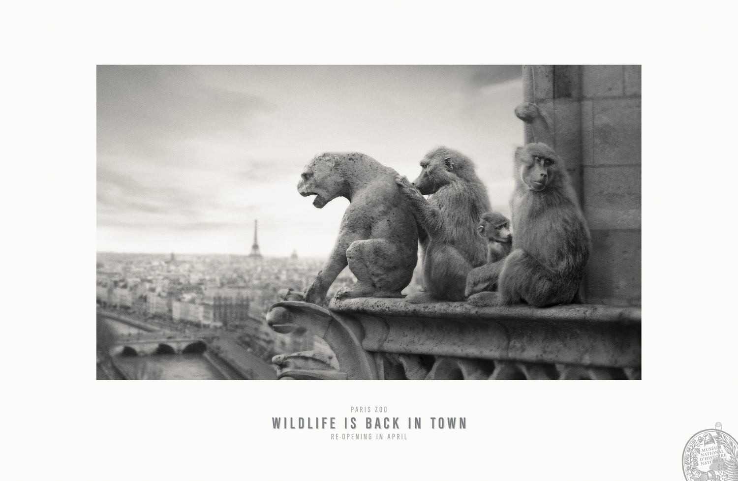 paris-zoo-wildlife