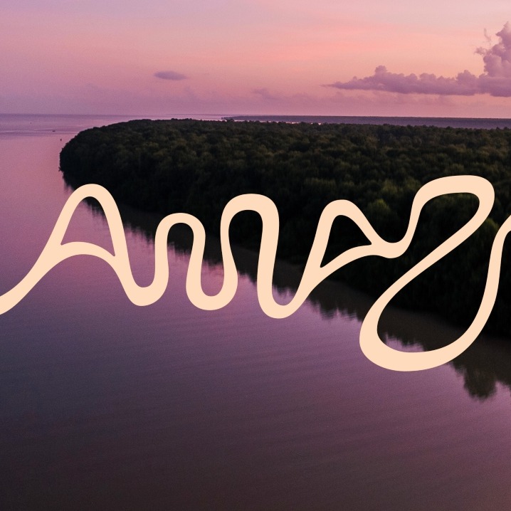 Logotipo de la Amazonia sobre un paisaje al atardecer