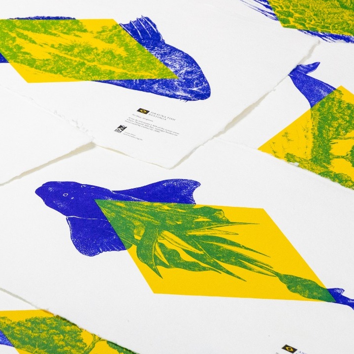 Animales marinos sobre la bandera de brasil verde y amarilla