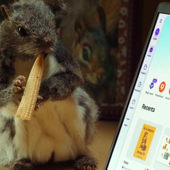 Una ardilla comiendo al lado de un portátil con la web de Canva abierta