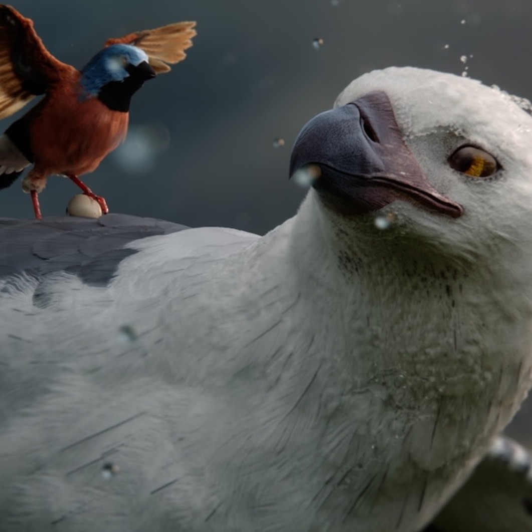 dos aves volando que se miran