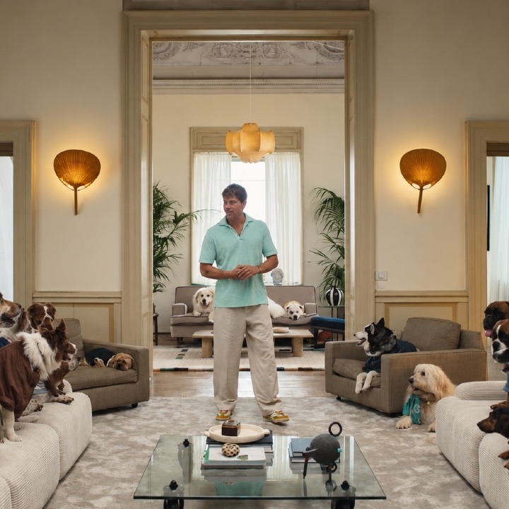 Brad Pitt en un salón rodeado por todos los perros de diferentes razas