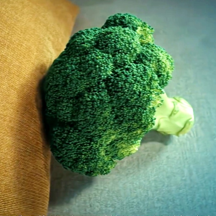 Un brócoli en un sofá como si estuviera en la consulta del psicólogo