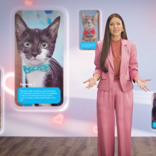 Una presentadora con pantallas de teléfono alrededor que muestran fotos de gatos