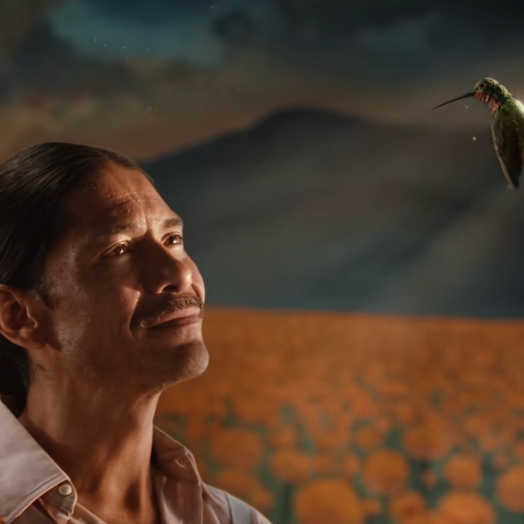 Hombre mirando sonriente a un colibrí