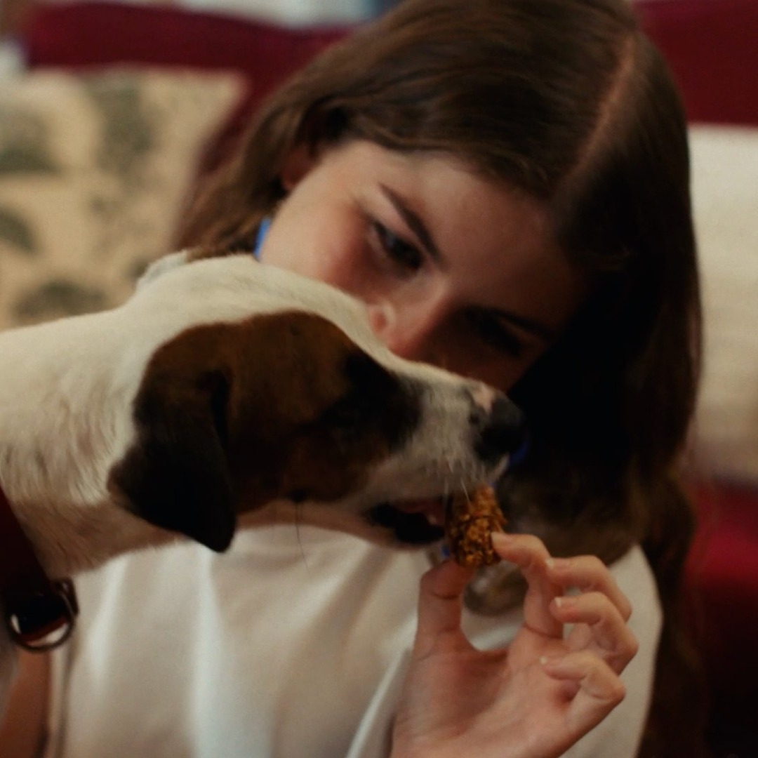 Un perro come turrón