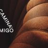 fuego_camina_conmigo-Fichajes