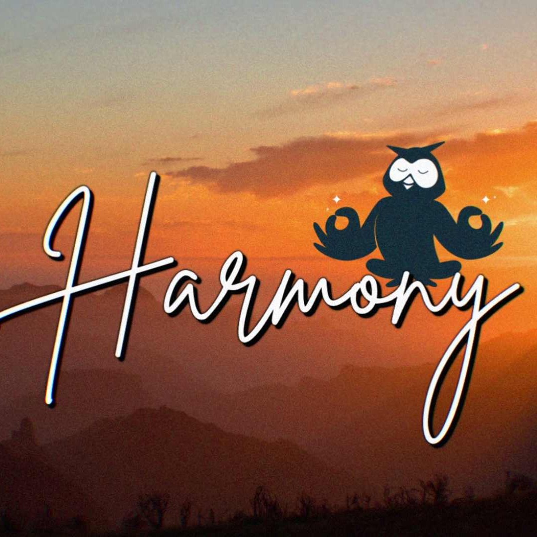 Campaña "Harmmony" de Hootsuite
