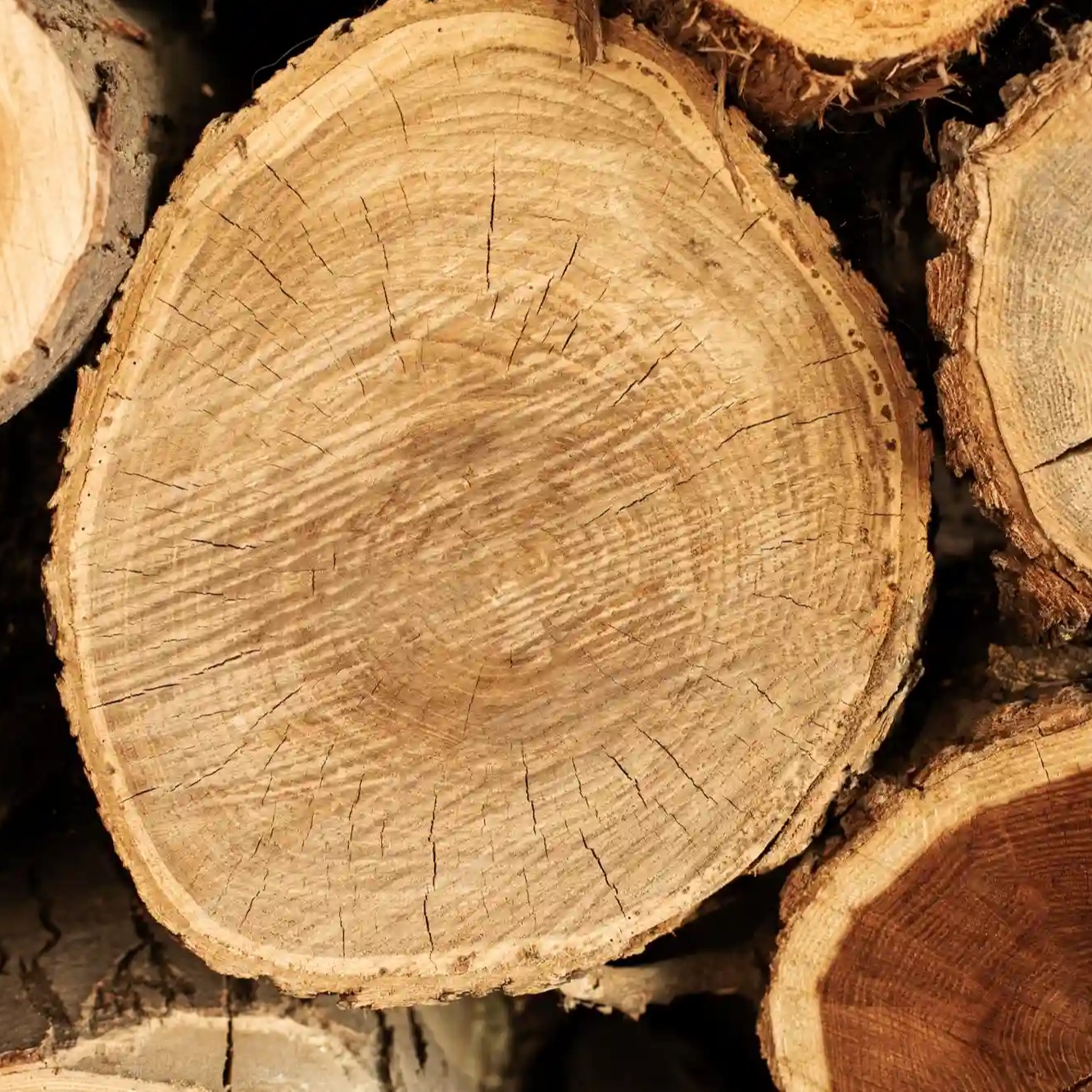Ikea hace pública la procedencia de la madera de sus productos
