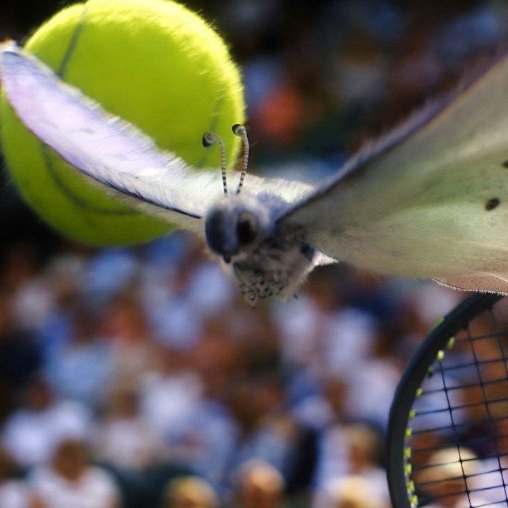 Una mariposa con las alas desplegadas entre la raqueta y la pelota de tenis en movimiento