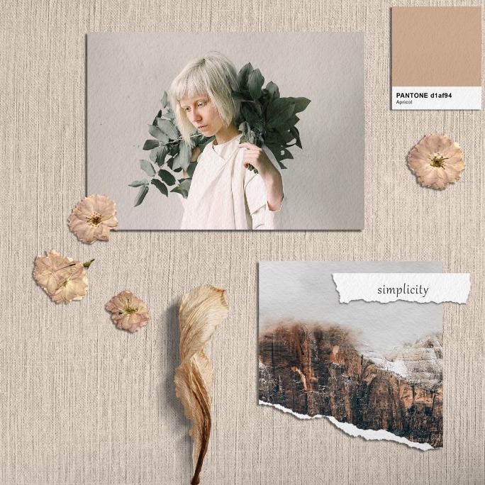 un ejemplo de moodboard en tonos marrones con fotografías, colores pantone y flores secas