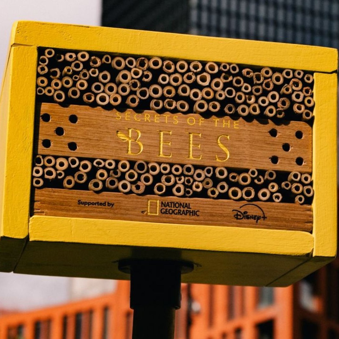 Panel para abejas de National Geographic