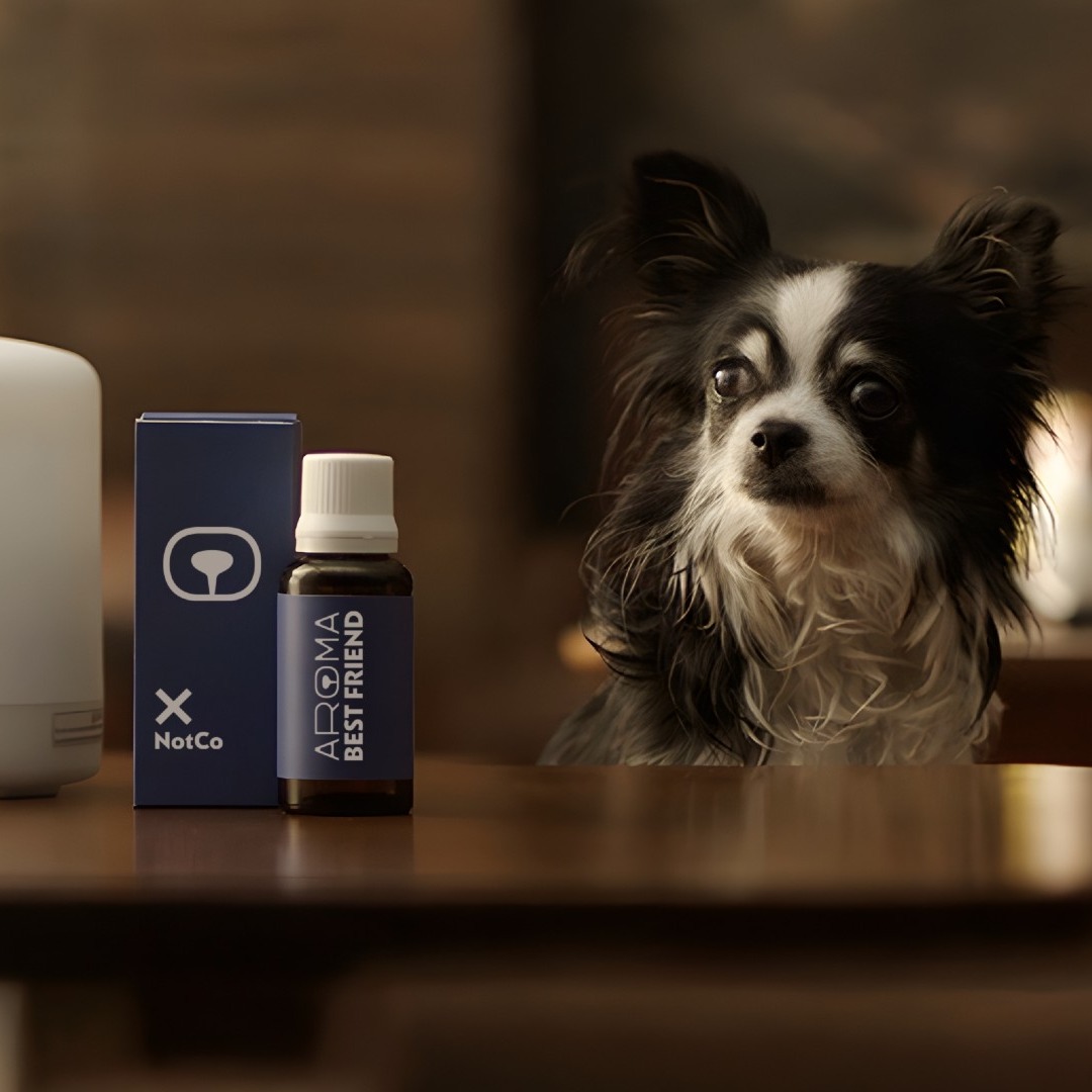 Un perro junto a un difusor de aromas