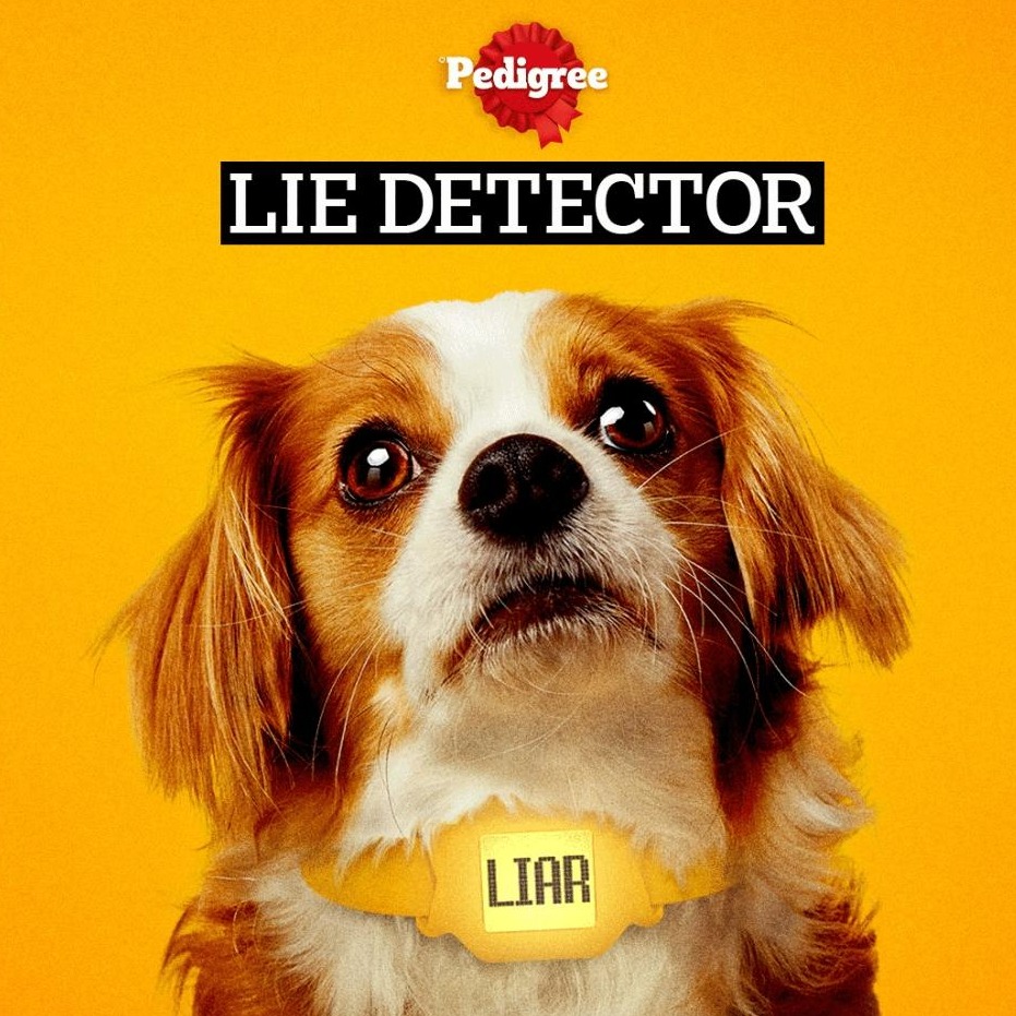 Collar "detector de mentiras" de Pedigree