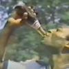 Pelé_publicidad_pepsi