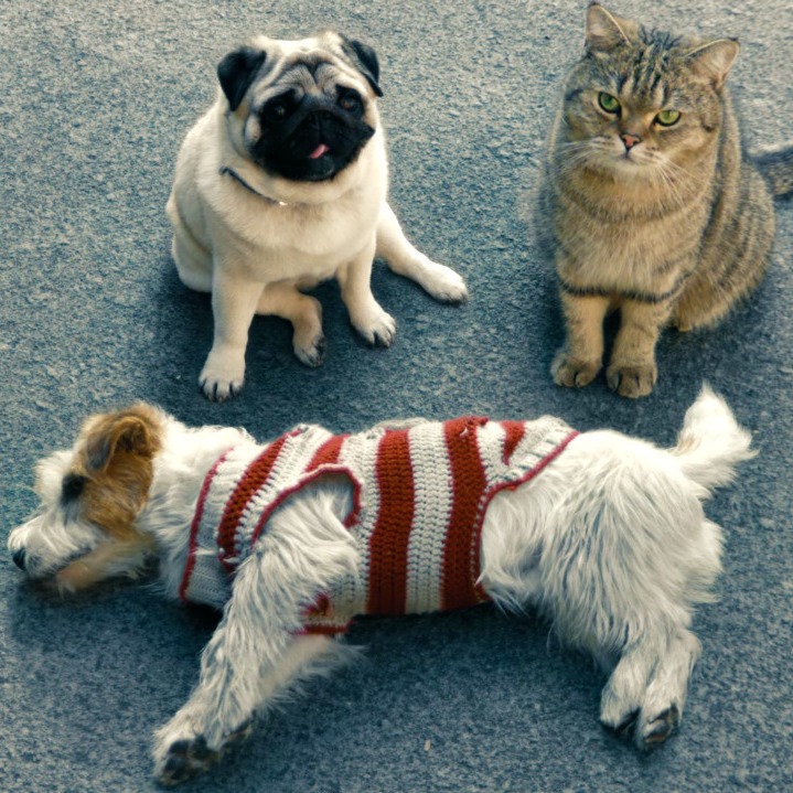 Un perro tirado en la carretera junto a otro perro y un gato que miran a cámara