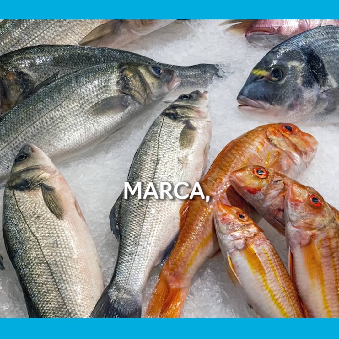 Imagen de un puesto de pescado