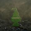 Pino ambientador Greenpeace