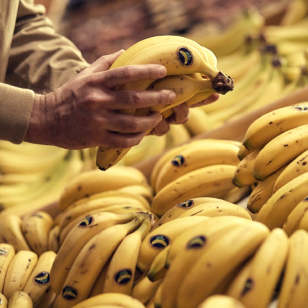 Manos de hombre sujetan plátano de canarias