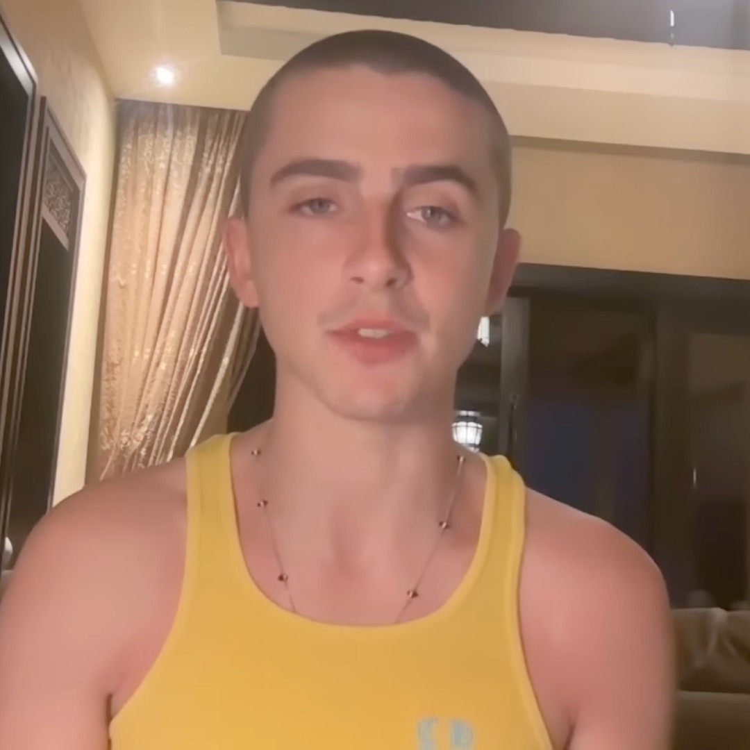 Timothee Chalament en una videollamada