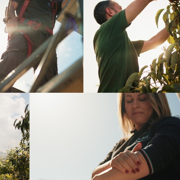 Imágenes de trabajadores en el campo aplicándose crema solar