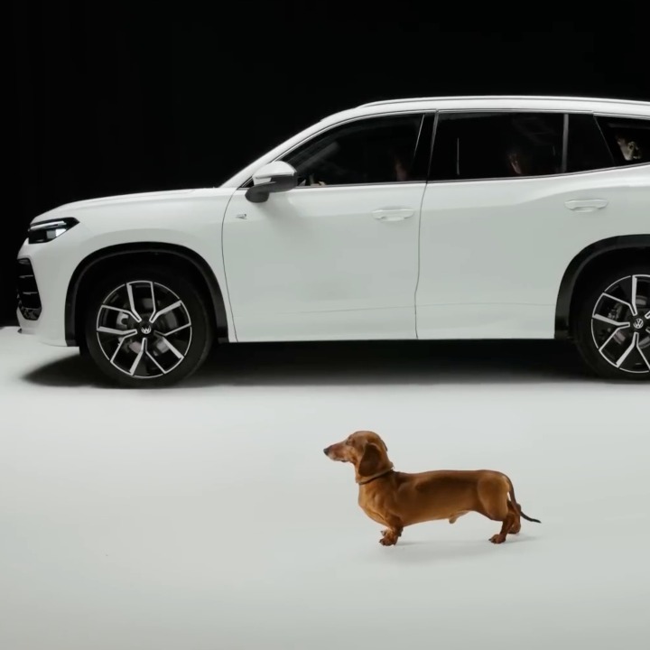 una imagen de perfil con el coche de volkswagen y al lado el perro salchicha