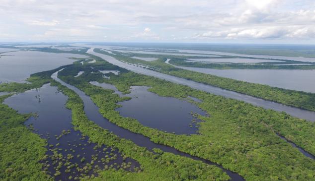 63 millones de hectáreas en la Amazonia buscan patrocinadores