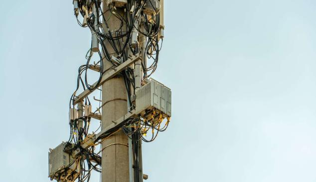 Los anunciantes estadounidenses más contaminantes a nivel digital