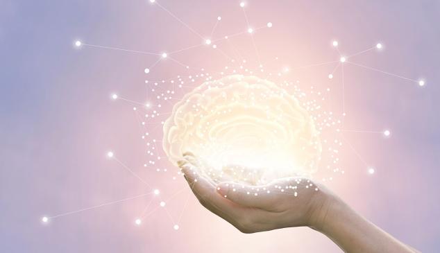 neuromarketing conocer consumidor