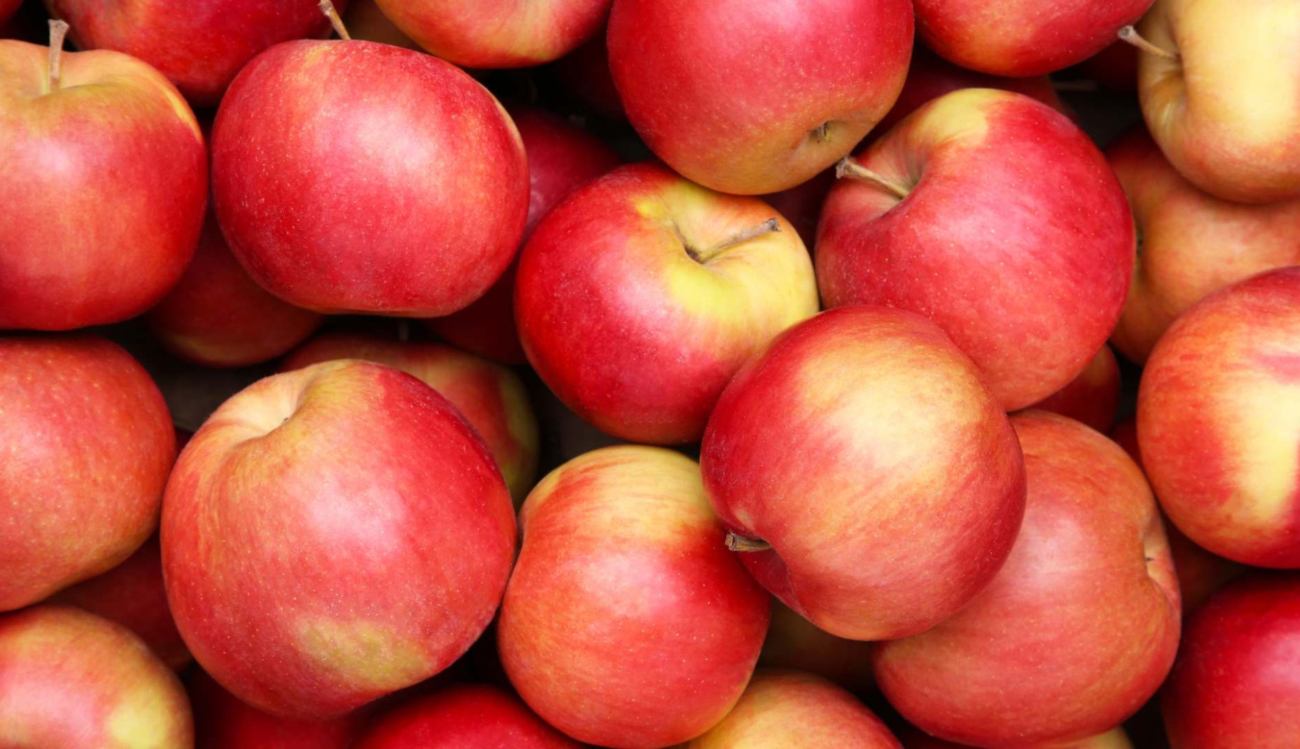 ¿Derechos sobre las manzanas? Apple busca registrar la imagen de la fruta como marca