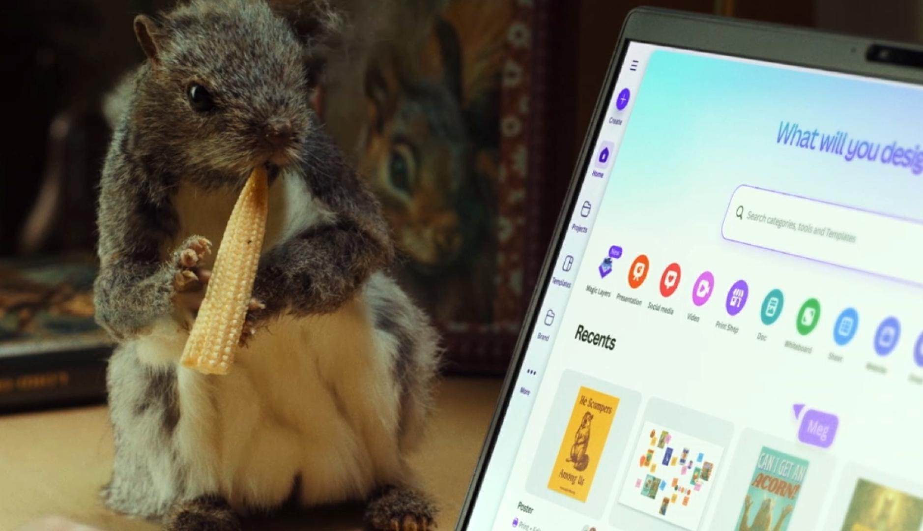 Una ardilla comiendo al lado de un portátil con la web de Canva abierta