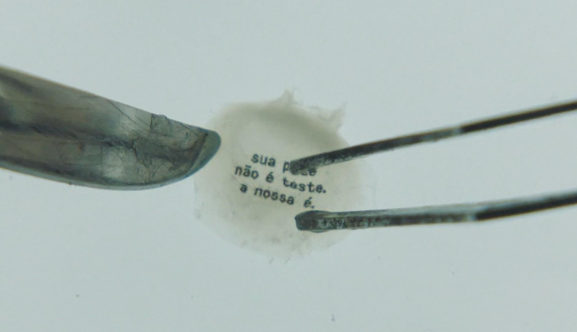 Fragmento de piel creada en laboratorio