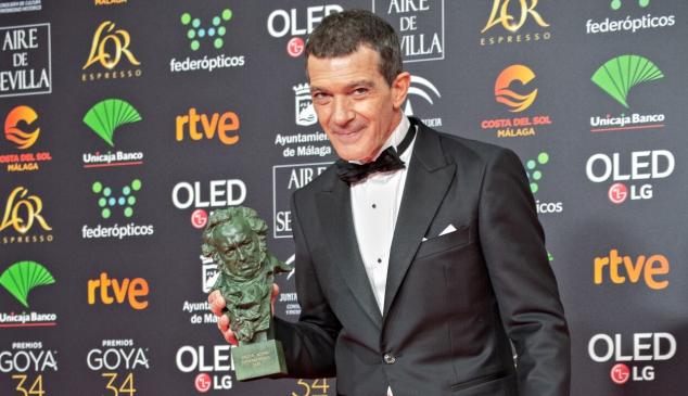 antonio banderas goyas