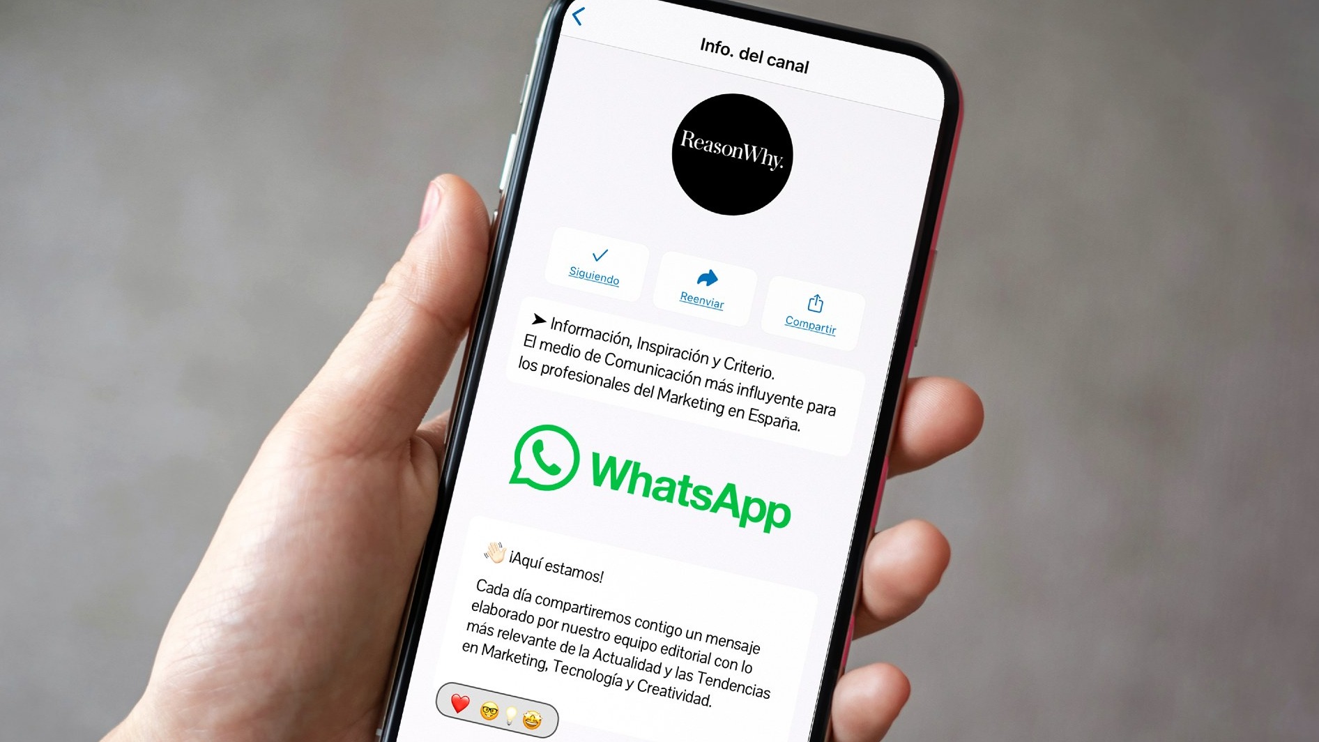 canal de reason why en whatsapp