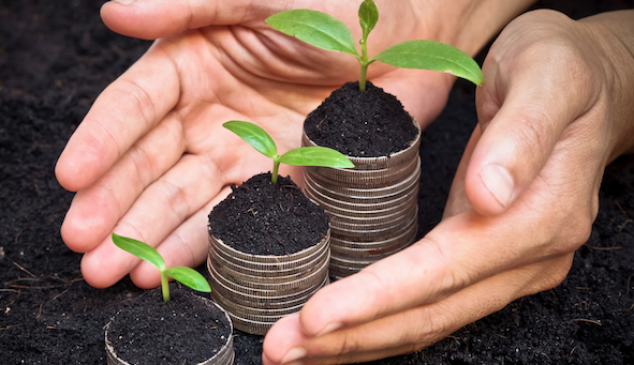 ceos-confianza-crecimiento-economico-ReasonWhy.es