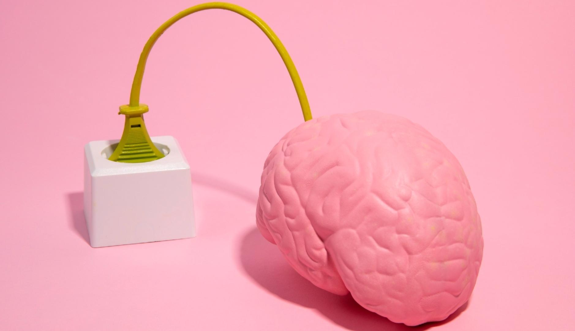 Imagen de un cerebro rosa enchufado a un enchufe