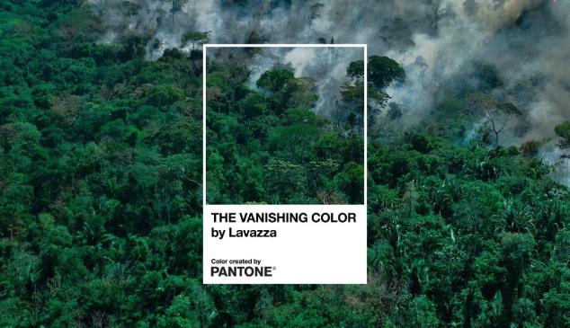color-pantone-deforestacion