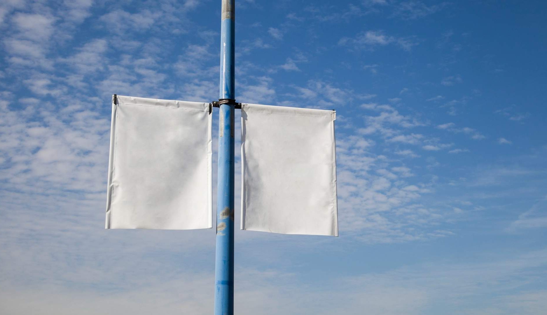 carteles en blanco