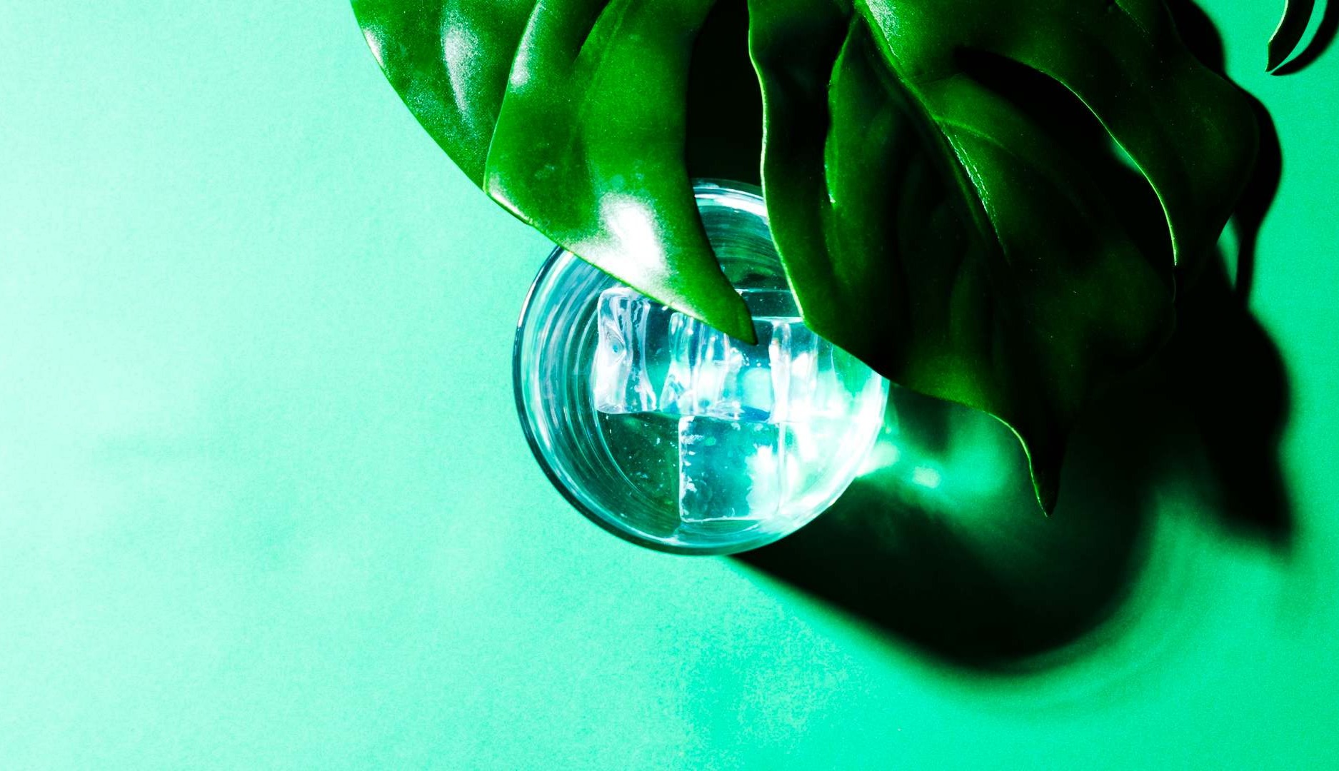 Bola de cristal con una hoja
