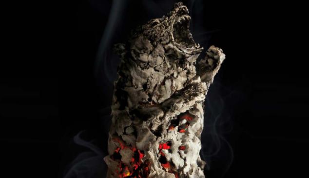tbwa-bosque