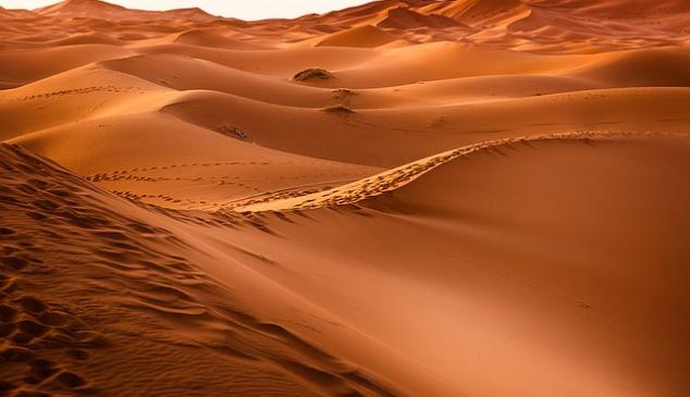 desierto