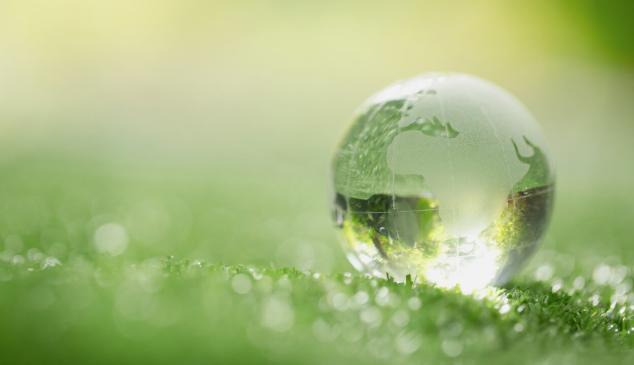 Edelman estrategia climática
