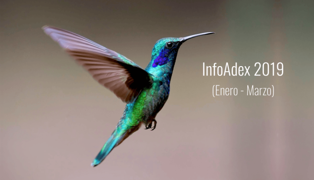 Inversion-publicitaria-infoadex-2019