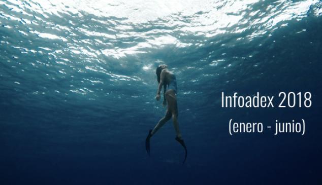 infoadex-datos