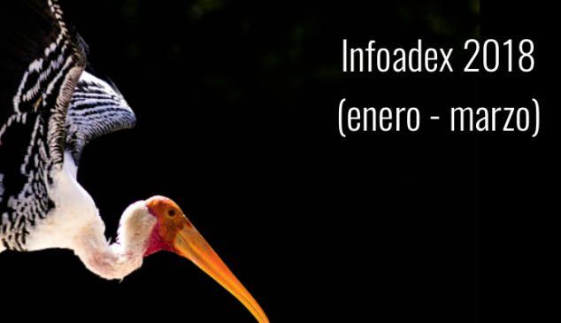 infoadex2018-primer-trimestre