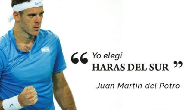 del-potro-haras-del-sur