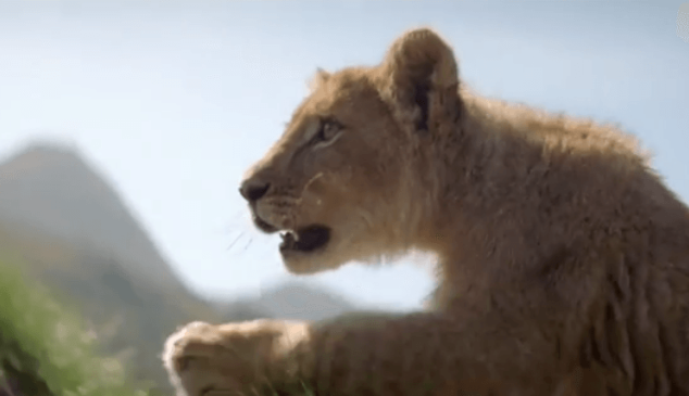 león-perrier-anuncio