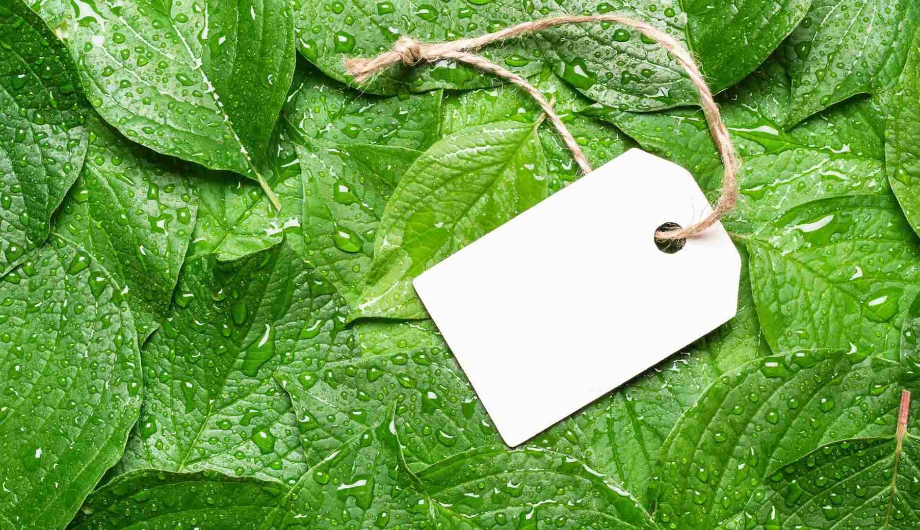 Unión Europea aprueba prohibición greenwashing
